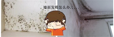 墻面發霉怎么處理？